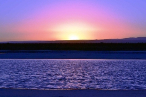 Cejar & Tebenquiche Lagoons Tour with Ojos del Salar Atacama