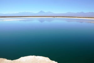 Cejar & Tebenquiche Lagoons Tour with Ojos del Salar Atacama