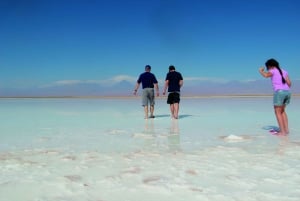 Cejar & Tebenquiche Lagoons Tour with Ojos del Salar Atacama