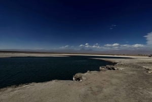 Cejar & Tebenquiche Lagoons Tour with Ojos del Salar Atacama