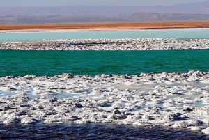 Cejar & Tebenquiche Lagoons Tour med Ojos del Salar Atacama