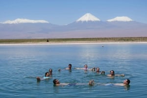 Cejar & Tebenquiche Lagoons Tour med Ojos del Salar Atacama