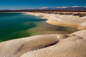 Cejar & Tebenquiche Lagoons Tour med Ojos del Salar Atacama