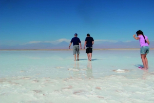 Cejar & Tebenquiche Lagoons Tour med Ojos del Salar Atacama