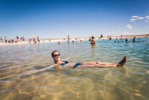 Cejar & Tebenquiche Lagoons Tour med Ojos del Salar Atacama