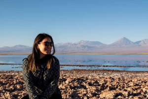 Cejar & Tebenquiche Lagoons Tour med Ojos del Salar Atacama