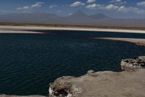Circuit des lagunes de Cejar et Tebenquiche avec Ojos del Salar Atacama