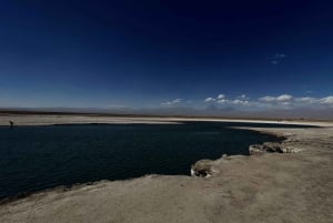 Circuit des lagunes de Cejar et Tebenquiche avec Ojos del Salar Atacama