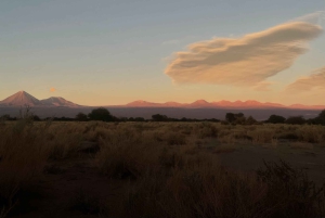 Circuit des lagunes de Cejar et Tebenquiche avec Ojos del Salar Atacama