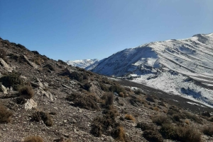 Cerro Canoitas: Full Day Trekking
