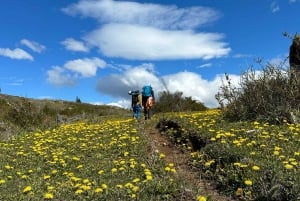 Cerro Castillo: Patagonia Mountain Trekking to the Lagoon