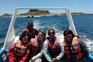 Bilhete de barco Chañaral de Aceituno