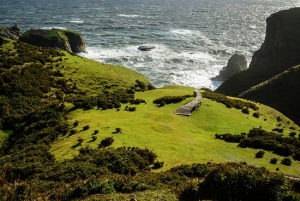 Things to do in Los Lagos Region