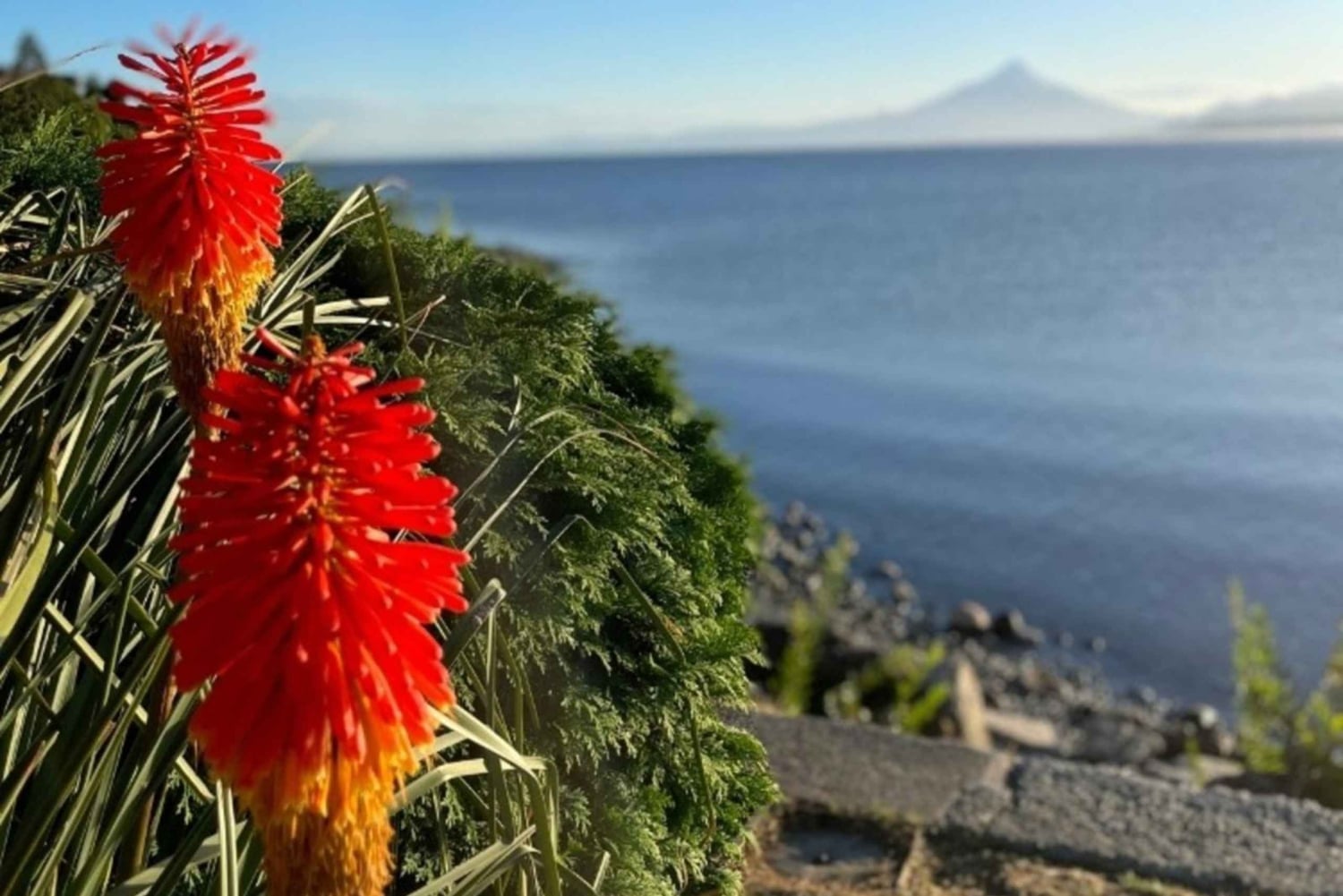 Wycieczka po Puerto Montt i Puerto Varas