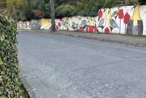 Wycieczka po Puerto Montt i Puerto Varas