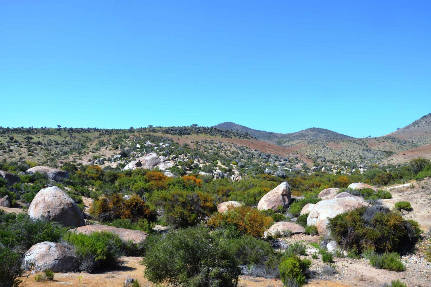 Chile: El Sitio Ceremonial de los Chamanes del Atlántico del Valle Encantado
