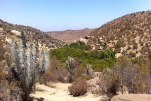 Chile: The Enchanted Valley Atlantic Shamans Ceremonial Site