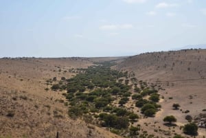 Chile: The Enchanted Valley Atlantic Shamans Ceremonial Site