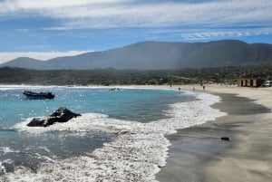 Chile: The Enchanted Valley Atlantic Shamans Ceremonial Site