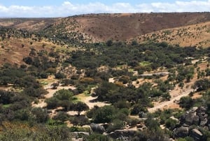 Chile: The Enchanted Valley Atlantic Shamans Ceremonial Site