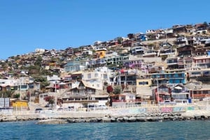 Chile: The Enchanted Valley Atlantic Shamans Ceremonial Site