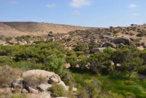 Chile: The Enchanted Valley Atlantic Shamans Ceremonial Site