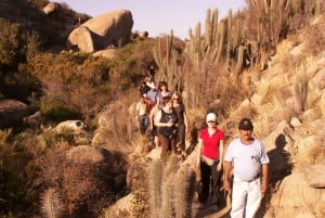 Chile: The Enchanted Valley Atlantic Shamans Ceremonial Site