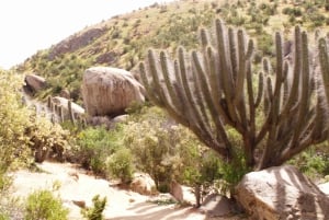 Chile: The Enchanted Valley Atlantic Shamans Ceremonial Site