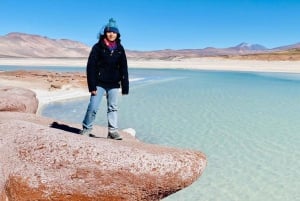 Chile: Tour Red stones + Altiplanic Lagoons + Laguna Chaxa