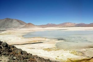 Chile: Tour Red stones + Altiplanic Lagoons + Laguna Chaxa