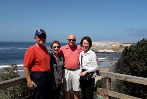 Chilean Treasures: Penguins and Alpacas Private Tour