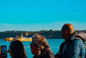 Omvisning på Chiloé-øya: Chacao, Dalcahue og Castro