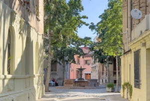 Santiago City Tour & Wine Experience