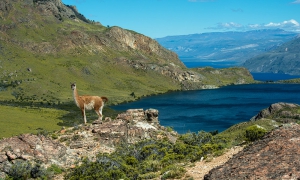 Cochrane, Parque Nacional Patagonia 