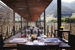 Valle de Colchagua: Tour del Vino de 2 Días con Hotel