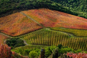 Dolina Colchagua: 2-dniowa wycieczka winiarska z hotelem