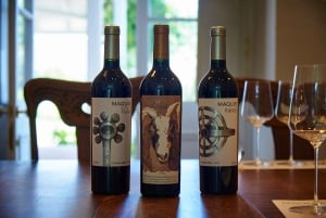 Colchagua Valley: Tour Cosechas Históricas