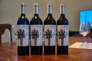 Colchagua Valley: Tour Cosechas Históricas