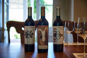 Colchagua Valley: Tour Cosechas Históricas