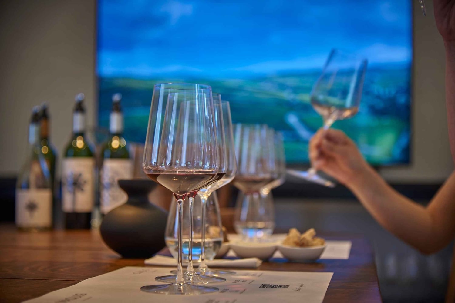 Colchagua Valley: Privat tur