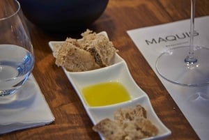 Colchagua Valley: Privat tur