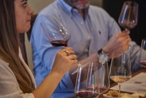 Colchagua Valley: Privat tur