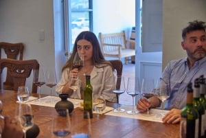 Colchagua Valley: Privat tur