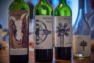 Colchagua Valley: Privat tur