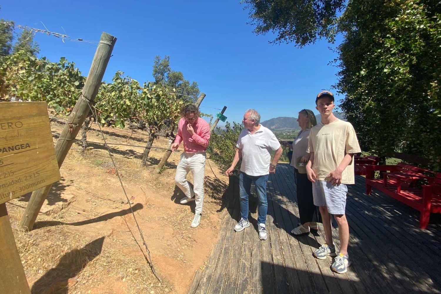 Colchagua-dalen: Privat tur på Ventisquero och Viu Manent vinväg