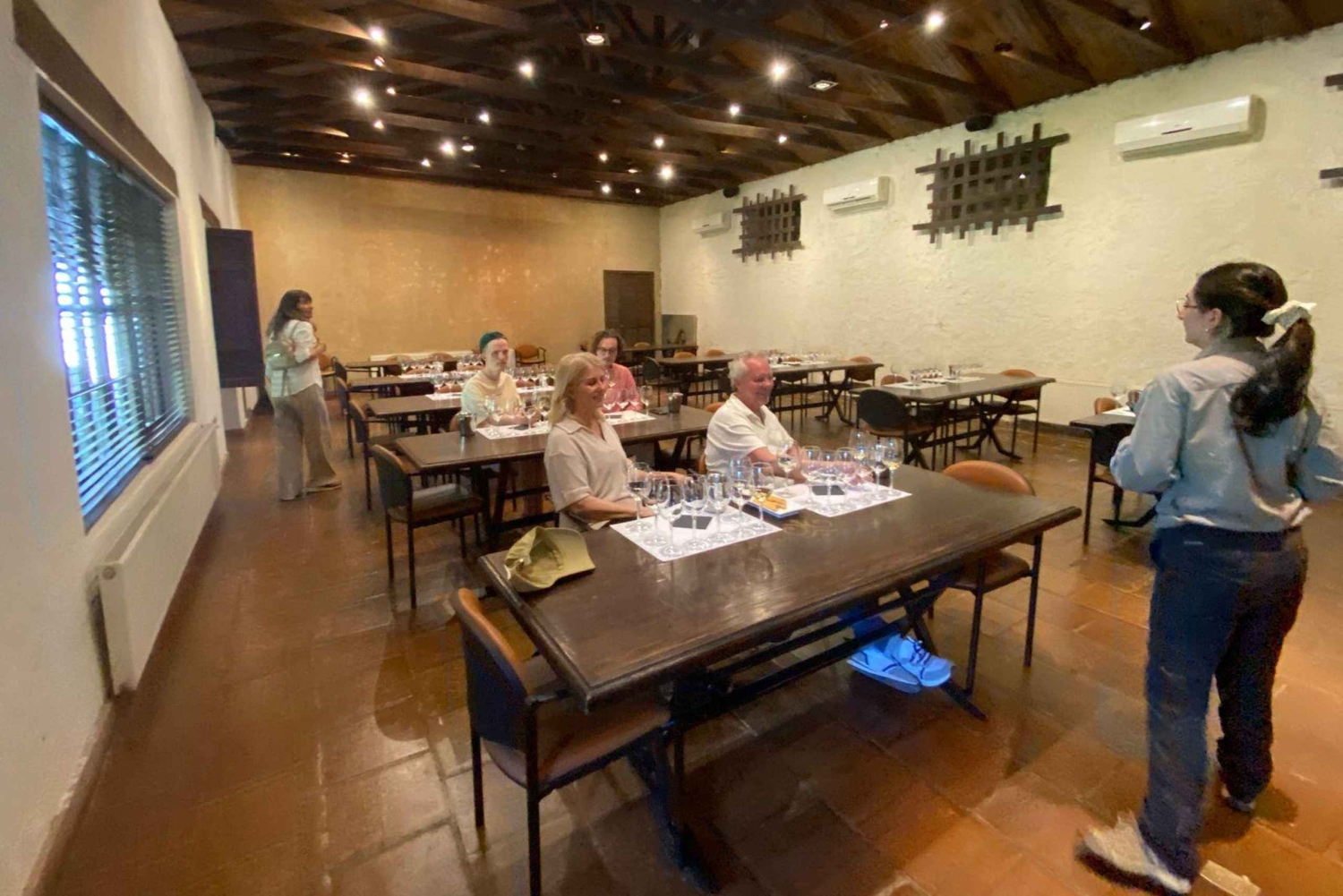 Colchagua-dalen: Privat tur på Ventisquero och Viu Manent vinväg