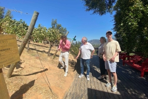 Colchagua-dalen: Privat tur på Ventisquero och Viu Manent vinväg