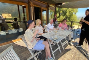 Colchagua-dalen: Privat tur på Ventisquero och Viu Manent vinväg