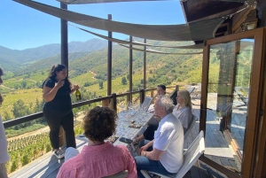 Colchagua-dalen: Privat tur på Ventisquero och Viu Manent vinväg