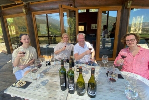 Colchagua-dalen: Privat tur på Ventisquero och Viu Manent vinväg